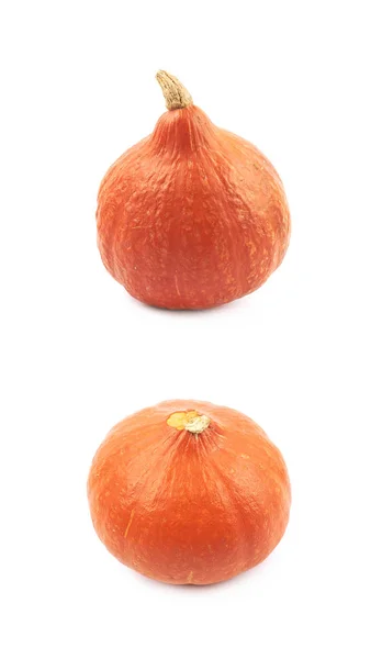 Zralé oranžové dýně, samostatný — Stock fotografie
