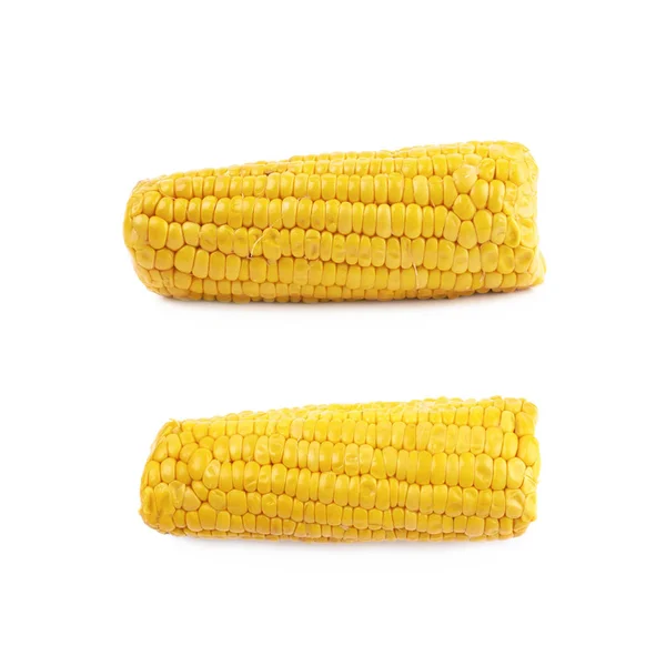 단일 corncob 절연 — 스톡 사진