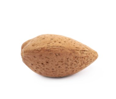 İzole tek badem fındık