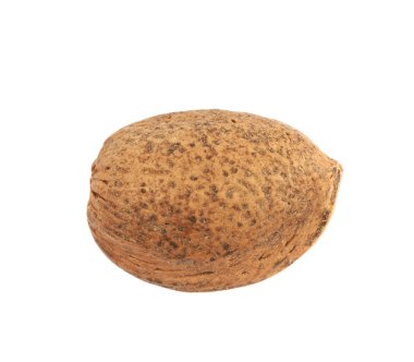 İzole tek badem fındık