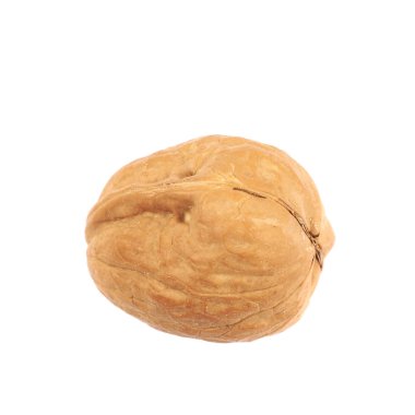 Tek ceviz izole