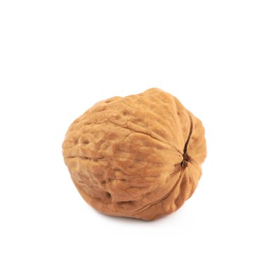 Tek ceviz izole