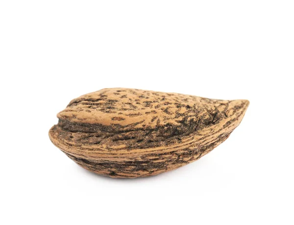 Single almond nut isolated — Stock Photo, Image