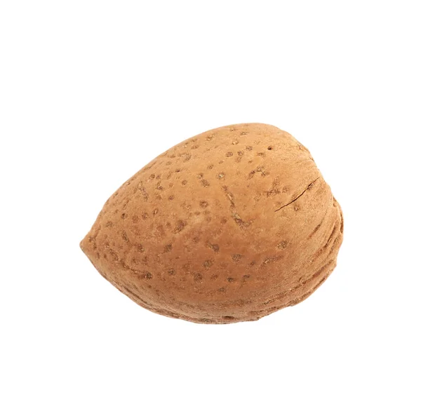 Single almond nut isolated — Stock Photo, Image