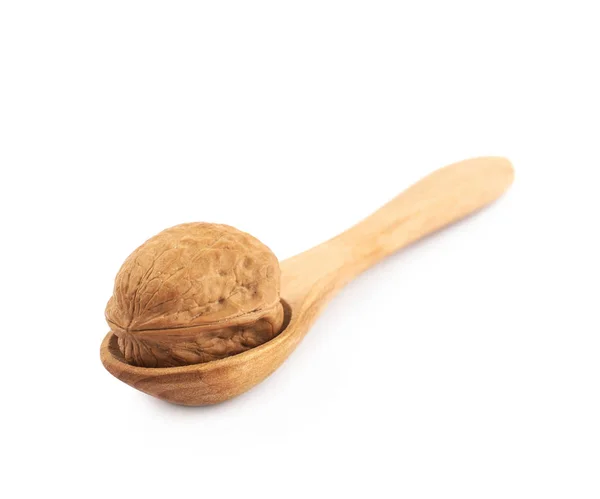 Walnut in een houten lepel geïsoleerd — Stockfoto