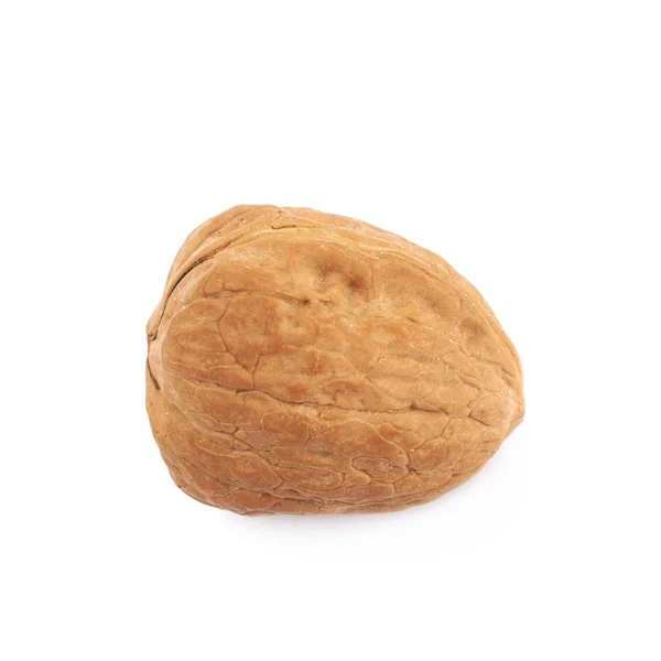 Single walnut isolated — Stock Photo, Image