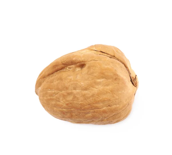 Single walnut isolated — Stock Photo, Image