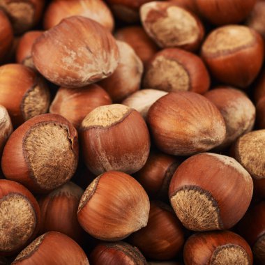 Fındık ile kaplı yüzey