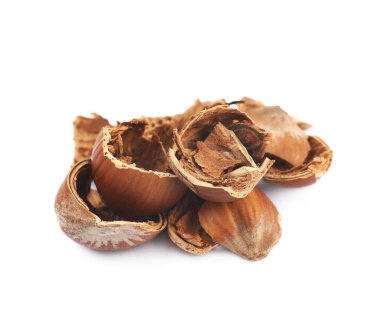 Fındık kabukları izole yığını