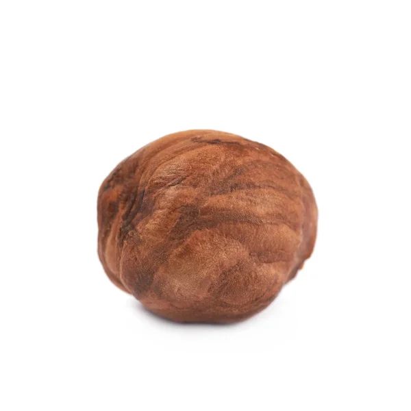 Single hazelnut isolated — Stock Photo, Image