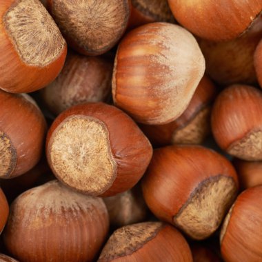 Fındık ile kaplı yüzey