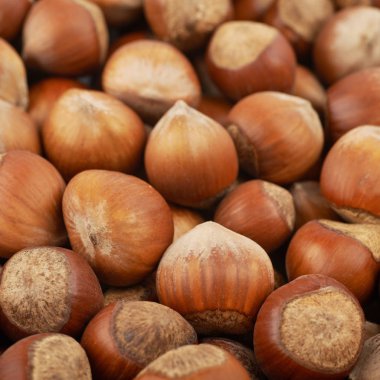 Fındık ile kaplı yüzey