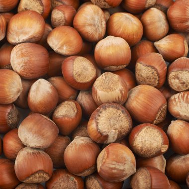 Fındık ile kaplı yüzey