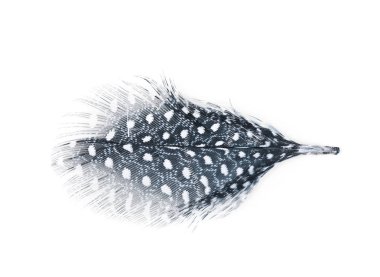 Decorational tüy izole