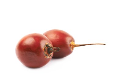 İki tamarillo meyve izole