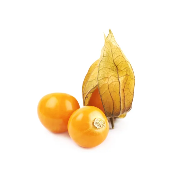 Composition of couple physalis fruits — Stock Photo, Image