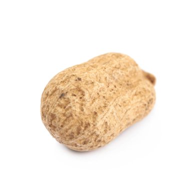 İzole bir kabuk tek fıstık