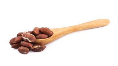 kaşık izole fıstık tam