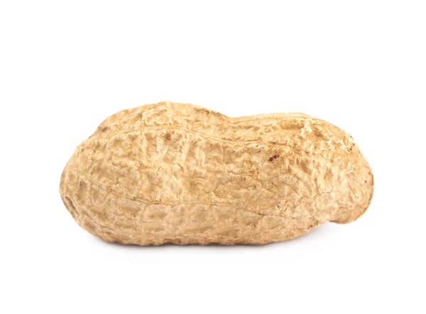 Одинокий арахис в изолированной скорлупе — стоковое фото