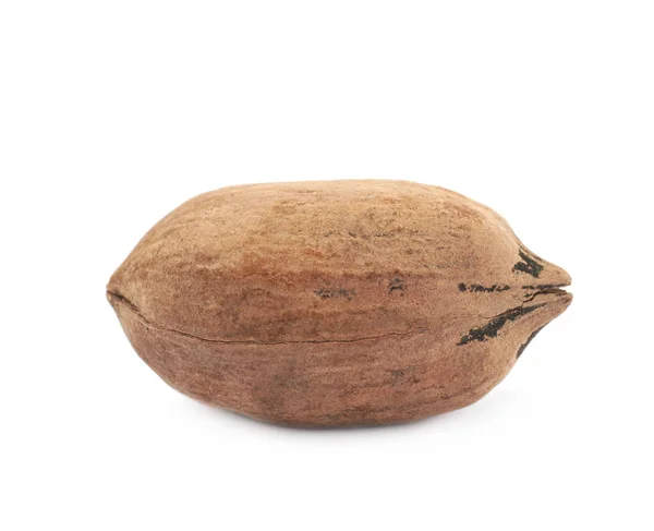 Jeden pekanové ořechy, samostatný — Stock fotografie