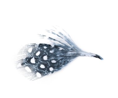 Decorational tüy izole