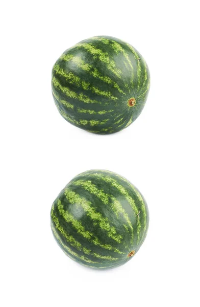 Einzelne ganze Wassermelone isoliert — Stockfoto