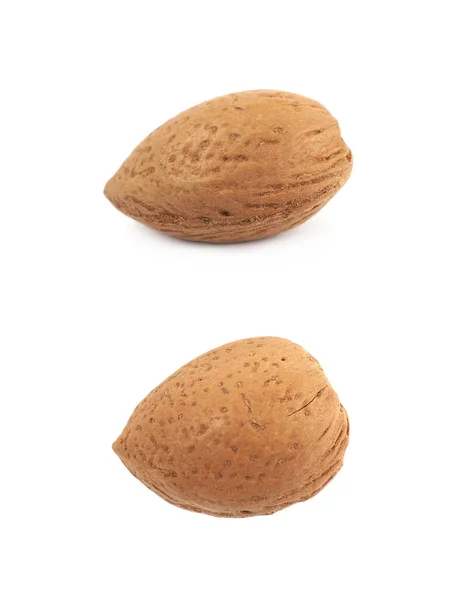 Single almond nut isolated — Stock Photo, Image