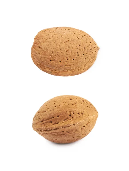 Single almond nut isolated — Stock Photo, Image