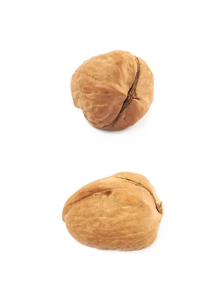 Single walnut isolated — Stock Photo, Image