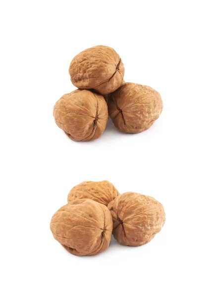 Pile of walnuts isolated — Stock Photo, Image