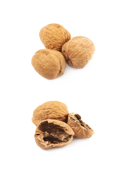 Pile of walnuts isolated — Stock Photo, Image