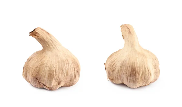 Dried garlic bulb isolated — Stock Photo, Image