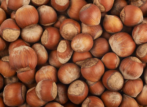 Surface coated with hazelnuts — Stock Photo, Image