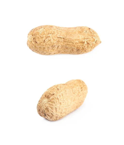 Одинарний арахіс в оболонці ізольований — стокове фото