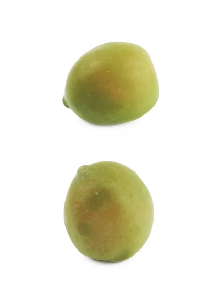 Jediné zelená olivová, samostatný — Stock fotografie