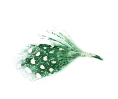 Decorational tüy izole