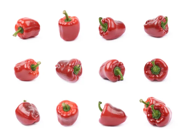 Paprika isolerade — Stockfoto