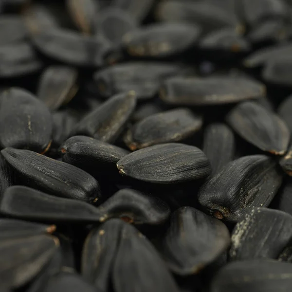 Surface coated with the sunflower seeds — Stock Photo, Image