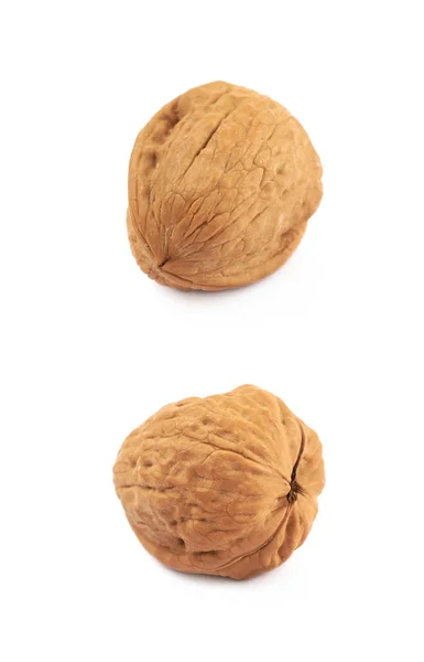 Single walnut isolated — Stock Photo, Image