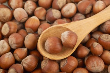 Fındık ile kaplı yüzey