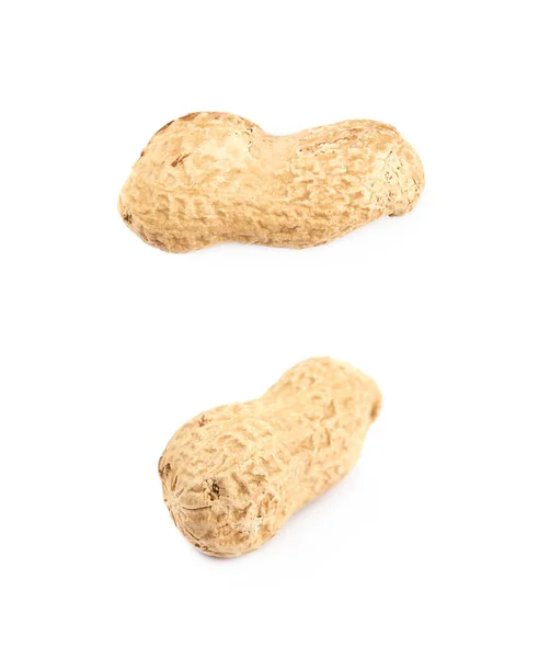 Одинокий арахис в изолированной скорлупе — стоковое фото