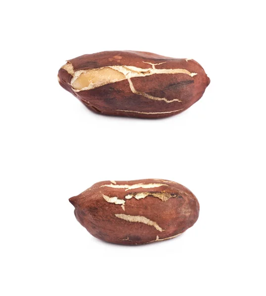 Amendoim descascado isolado — Fotografia de Stock