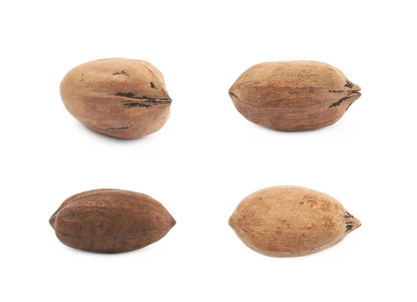 Jeden pekanové ořechy, samostatný — Stock fotografie
