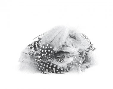 Decorational tüyleri izole