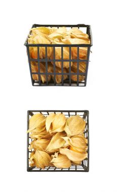 Kutu izole physalis meyve dolu