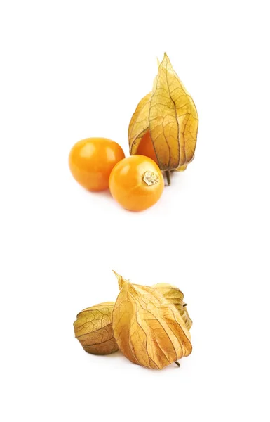 Composição de frutos de physalis de par — Fotografia de Stock