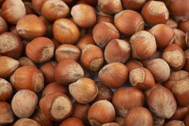 Fındık ile kaplı yüzey