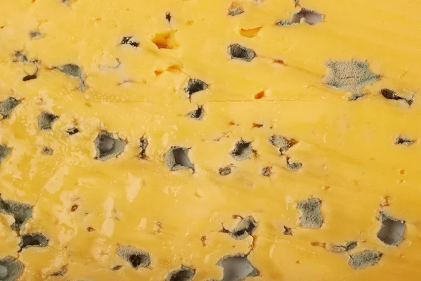 Крупный план фрагмента плесени сыра — стоковое фото