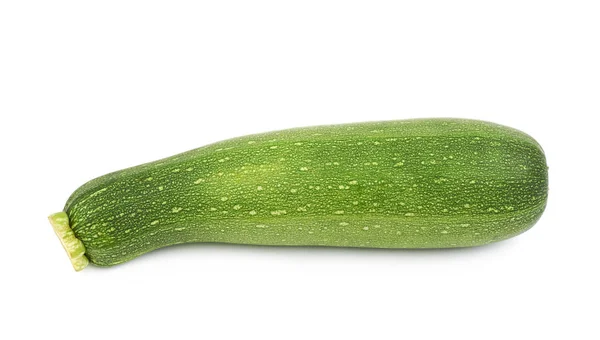 Groene courgette plant geïsoleerd — Stockfoto