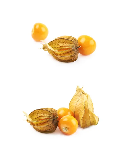 Composição de frutos de physalis de par — Fotografia de Stock